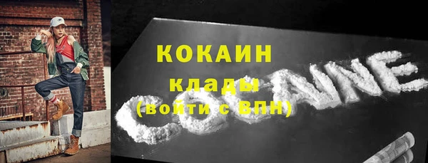 стаф Верея