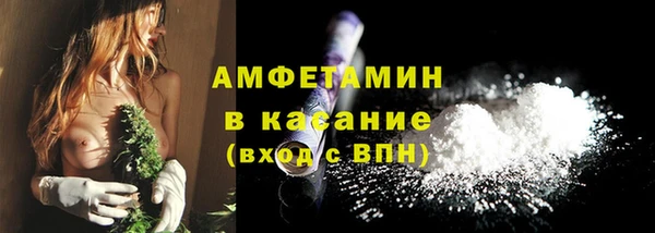 стаф Верея