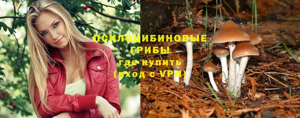 PSILOCYBIN Волоколамск