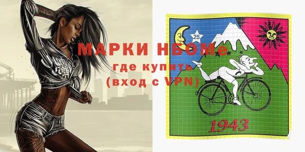 мдпв Рославль