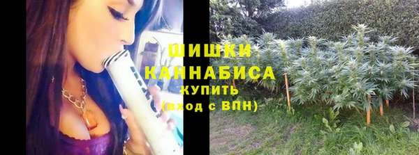 соль ск Верхний Тагил