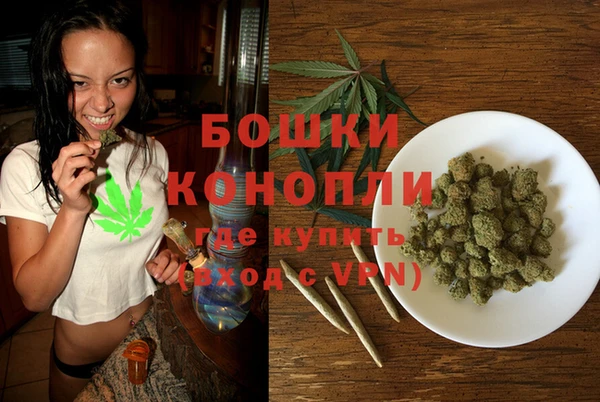 соль ск Верхний Тагил