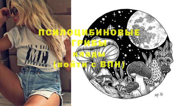 PSILOCYBIN Волоколамск