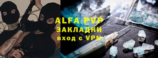 стаф Верея