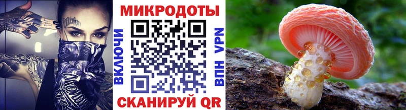 kraken как войти  Менделеевск  Псилоцибиновые грибы Psilocybine cubensis 