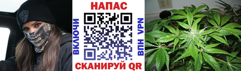 как найти закладки  Менделеевск  MEGA маркетплейс  Шишки марихуана Ganja 